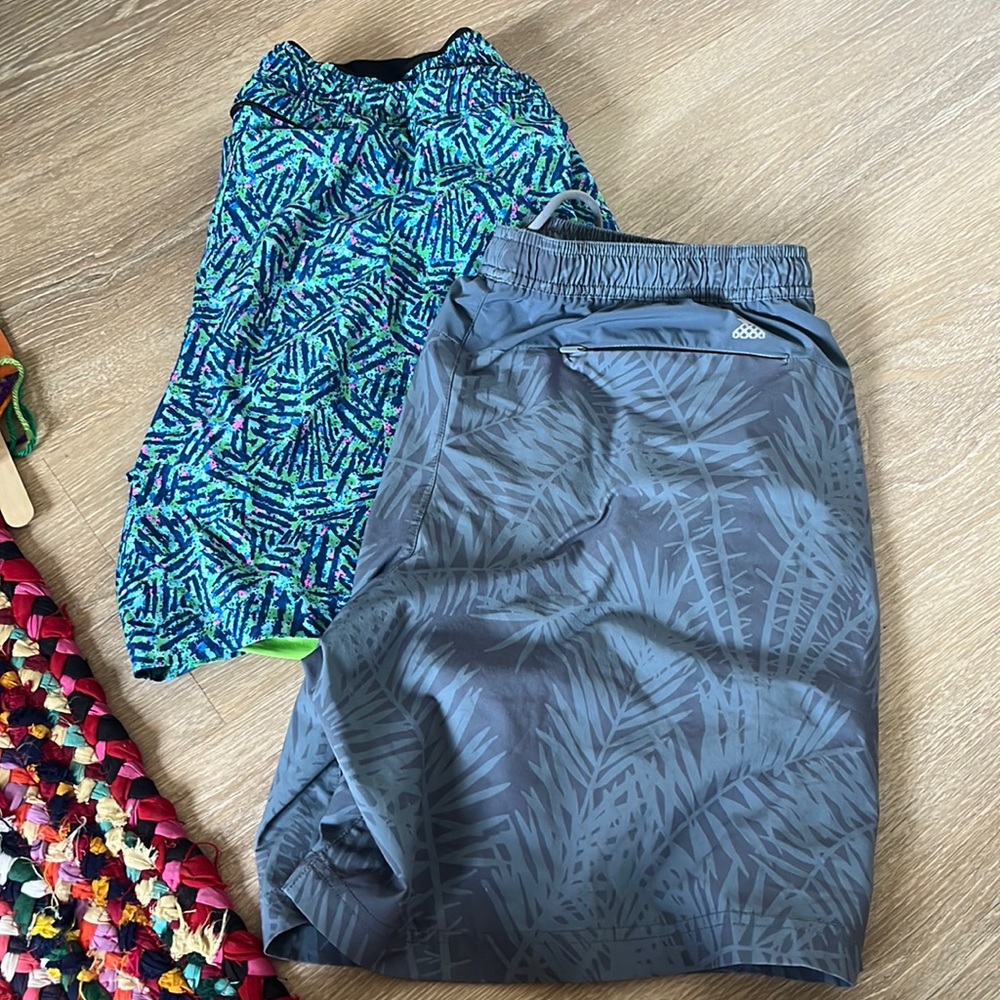 Chubbies lined shorts